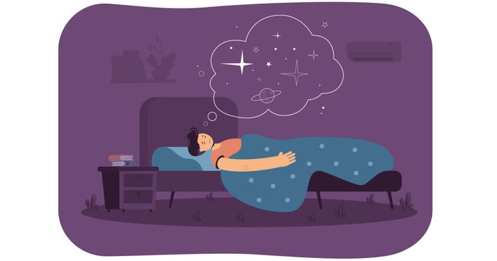 Comprendre le cycle de sommeil adulte