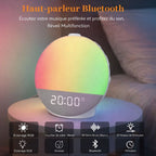 Simulateur d'Aube AuroraWake