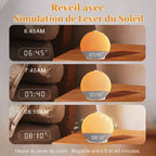 Simulateur d'Aube AuroraWake