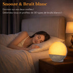 Simulateur d'Aube AuroraWake