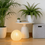 Lampe Lanterne Japonaise en Papier de Riz