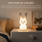 Lampe Veilleuse Lapin