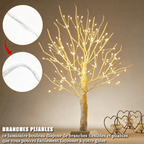 Veilleuse Arbre de Bouleau Constellation