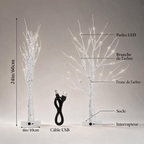 Veilleuse Arbre de Bouleau Givré
