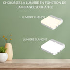 Veilleuse couloir detecteur de mouvement LuminoMouv