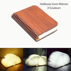 Veilleuse livre Magic Marron Marron - 3 couleurs
