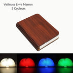 Veilleuse livre Magic Marron Marron - 5 couleurs