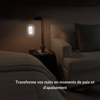 Veilleuse murale detecteur de mouvement DetecLumi