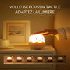 Veilleuse nomade tactile